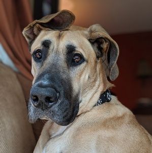 Meet your Posher, Connor